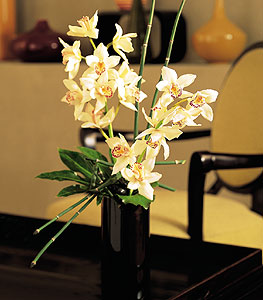  Idr Akyumak 14 ubat sevgililer gn iek  cam yada mika vazo ierisinde dal orkide