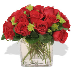  Iğdır Karaağaç internetten çiçek satışı  10 adet kirmizi gül ve cam yada mika vazo