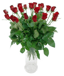  Iğdır Karaağaç internetten çiçek satışı  11 adet kimizi gülün ihtisami cam yada mika vazo modeli