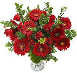 5 adet kirmizi gül 5 adet gerbera aranjmani  Iğdır Aşağı erhacı online çiçek gönderme sipariş 