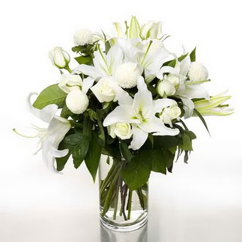  Iğdır 14 kasım hediye çiçek yolla  1 dal cazablanca 7 adet beyaz gül vazosu