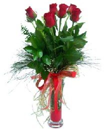 vazo içerisinde 5 kırmızı gül  Iğdır Hakveis çiçek gönderme 