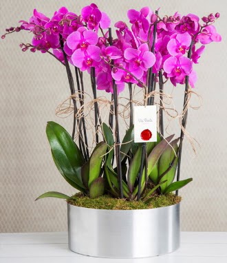 11 dall mor orkide metal vazoda  Idr 14 kasm hediye iek yolla 