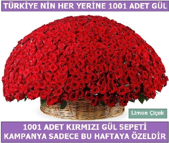 1001 Adet kırmızı gül Bu haftaya özel  Iğdır Bağlar ucuz çiçek gönder 