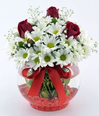 Fanusta 3 Gül ve Papatya  Iğdır Enginalan uluslararası çiçek gönderme 