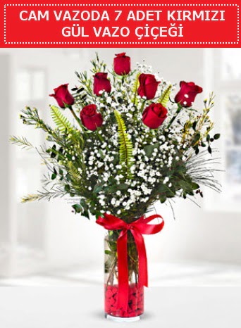 Cam vazoda 7 adet kırmızı gül çiçeği  Iğdır 14 kasım hediye çiçek yolla 