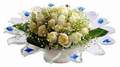 cam günes ve dolunay bembeyaz  Iğdır Konaklı internetten çiçek siparişi 