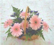 gerbera çiçeklerinde sepet   Iğdır 12 eylül çiçekçi mağazası 