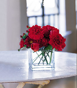  Iğdır Cumhuriyet çiçek siparişi vermek  kirmizinin sihri cam içinde görsel sade çiçekler