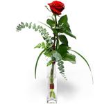  Iğdır Karaağaç internetten çiçek satışı  1 adet kirmizi gül cam yada mika vazo içerisinde
