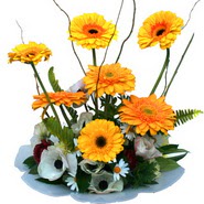 camda gerbera ve mis kokulu kir çiçekleri  Iğdır Karaağaç internetten çiçek satışı 
