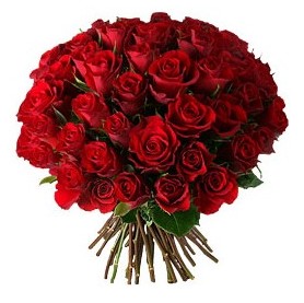  Iğdır Konaklı internetten çiçek siparişi  33 adet kırmızı gül buketi