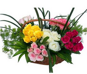  Iğdır Cumhuriyet çiçek siparişi vermek  35 adet rengarenk güllerden sepet tanzimi