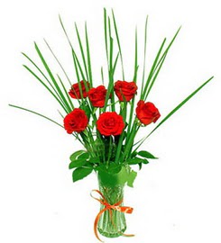  Iğdır Konaklı internetten çiçek siparişi  6 adet kırmızı güllerden vazo çiçeği