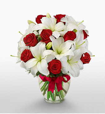  Iğdır Aşağı erhacı online çiçek gönderme sipariş  1 dal kazablanka 11 adet kırmızı gül vazosu