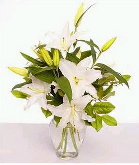  Iğdır Söğütlü çiçek siparişi sitesi  2 dal cazablanca vazo çiçeği