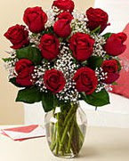 Sevgilime hediye 9 adet 1.ci kalite gül  Iğdır çiçek yolla yurtiçi ve yurtdışı çiçek siparişi 