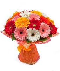 Renkli gerbera buketi  Iğdır çiçek yolla yurtiçi ve yurtdışı çiçek siparişi 
