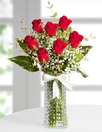 Cam vazoda 7 adet kırmızı gül  Iğdır Konaklı internetten çiçek siparişi 