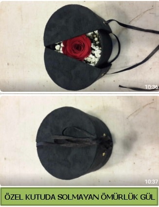 Solmayan ömürlük gül şoklanmış gül  Iğdır Söğütlü çiçek siparişi sitesi 