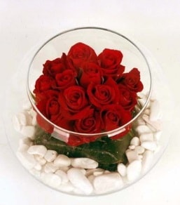 Cam fanusta 11 adet kırmızı gül  Iğdır Söğütlü çiçek siparişi sitesi 