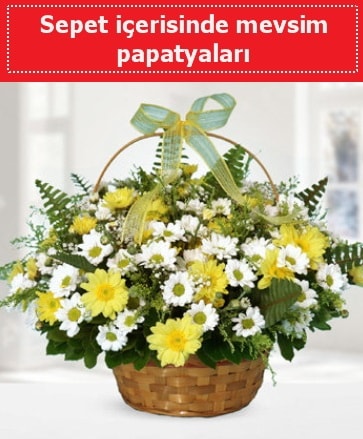 Sepet içerisinde mevsim papatyaları  Iğdır Cumhuriyet çiçek siparişi vermek 